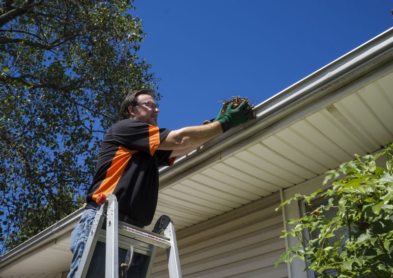 Ladder Safety During Gutter Cleaning